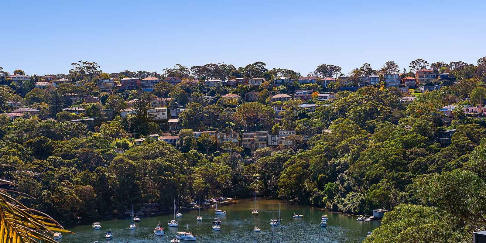 13  Minnamurra Road  Northbridge