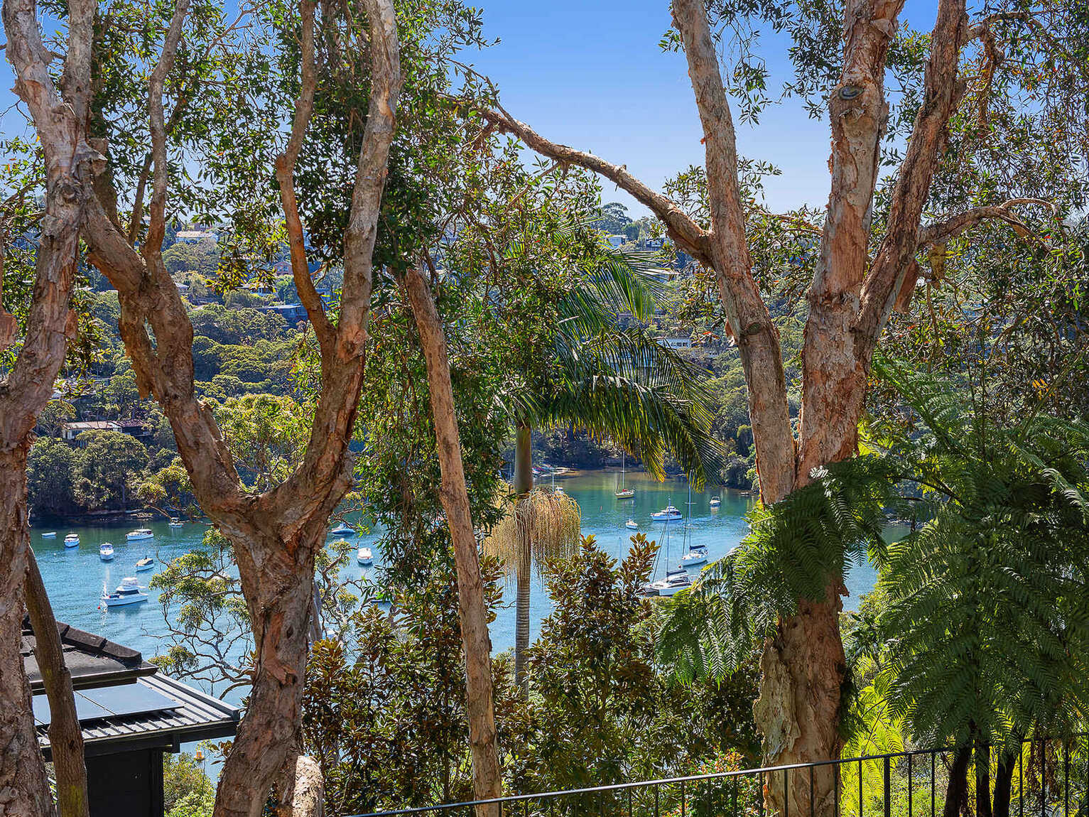 13  Minnamurra Road  Northbridge