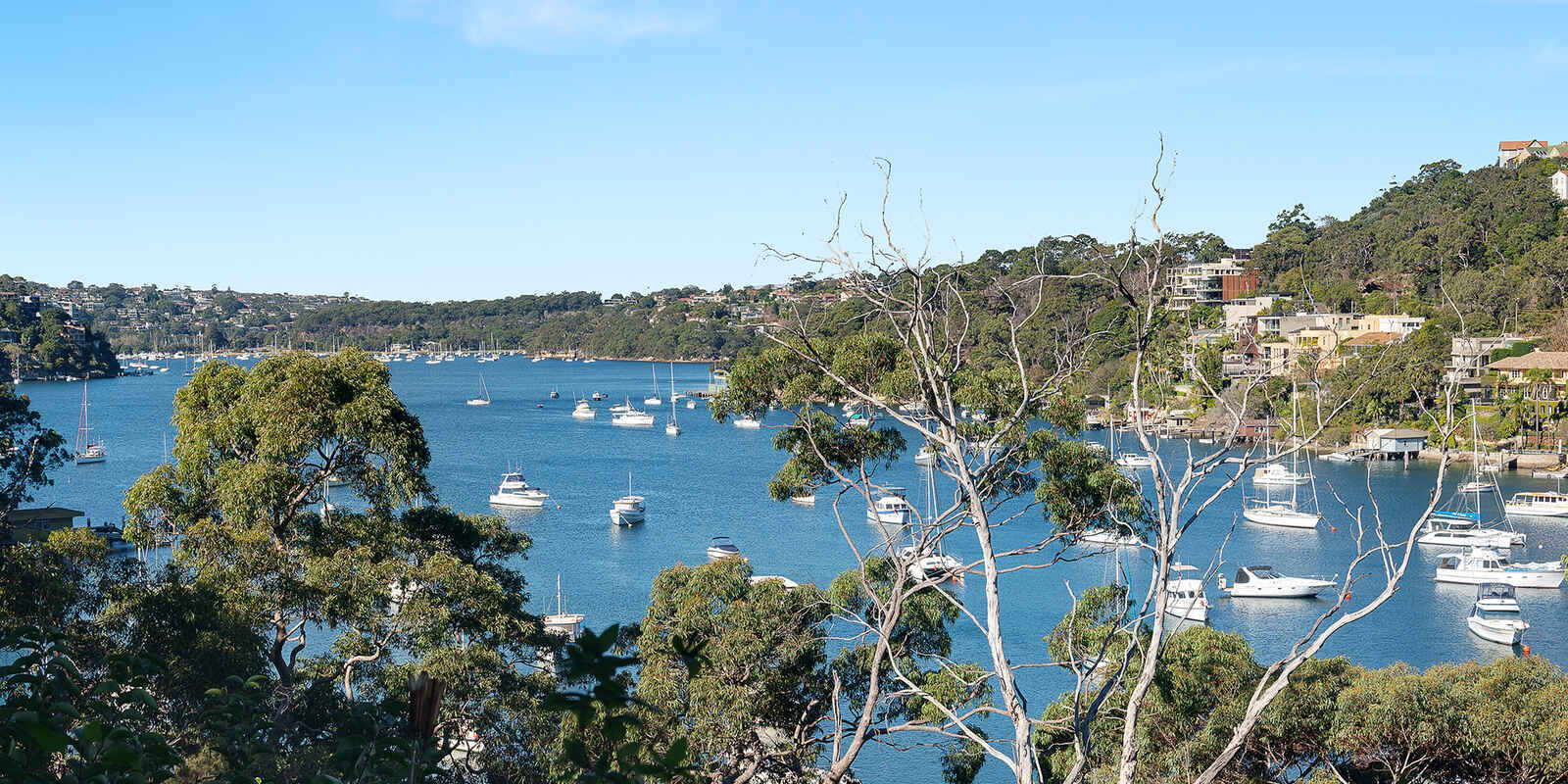 Flat 11 The Barricade Castlecrag