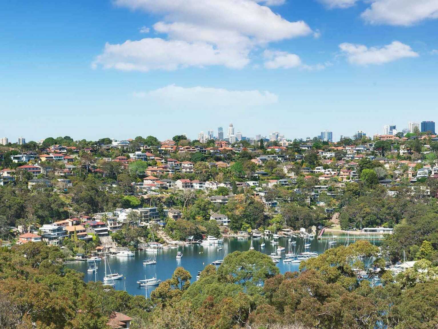 242  Edinburgh Road  Castlecrag