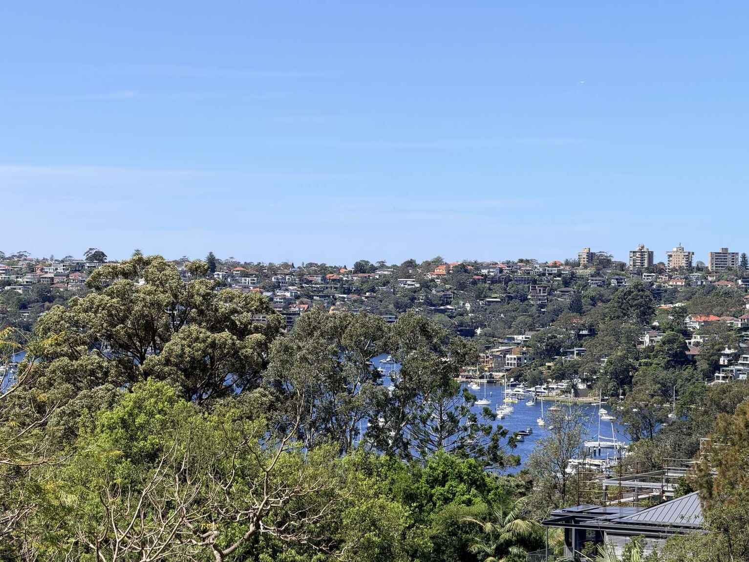 40A Pine Street East Cammeray